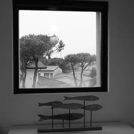Alcova Caorle
